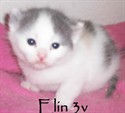 Elin 3v